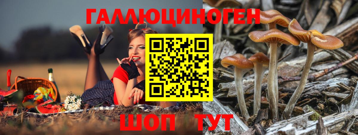 Галлюциногенные грибы Magic Shrooms Курган