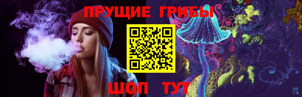 Галлюциногенные грибы Psilocybe  Галлюциногенные грибы мицелий  Курган  Вход с VPN 